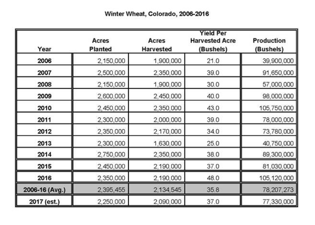 Colorado Breaks Record for Yield per Acre in Winter Wheat Production