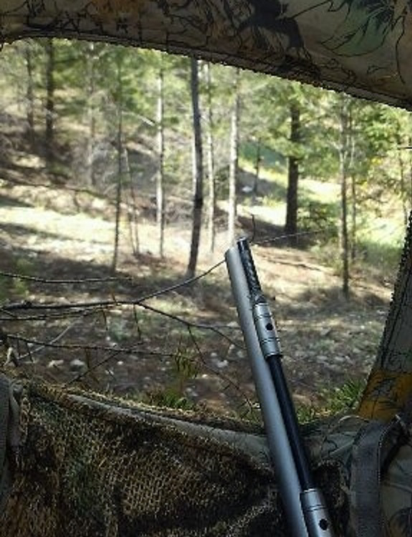 PICT View of an illegal bait site - CPW PICT View of an illegal bait site - CPW