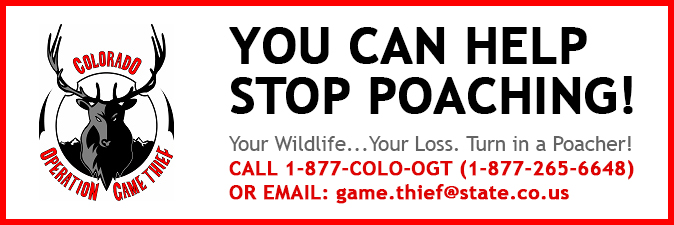 BANNER You Can Help Stop Poaching - CPW BANNER You Can Help Stop Poaching - CPW