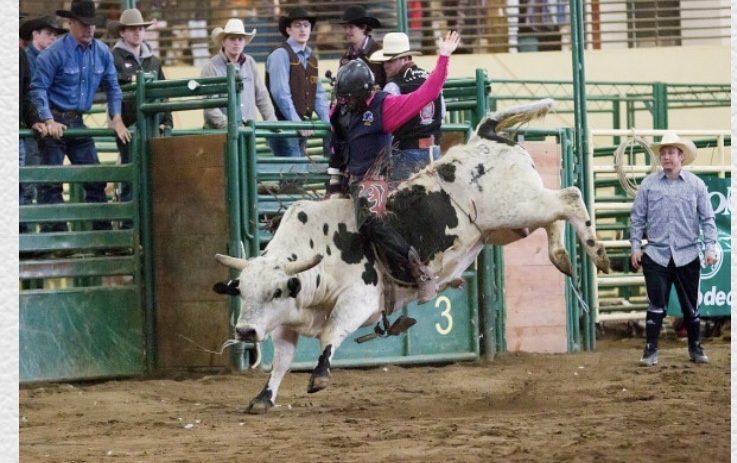 PICT Nate Hoey Bull Riding Skyline Stampede Rodeo - LCC PICT Nate Hoey Bull Riding Skyline Stampede Rodeo - LCC