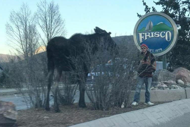 PICT Man Accosting Moouse - CPW - Facebook PICT Man Accosting Moouse - CPW - Facebook