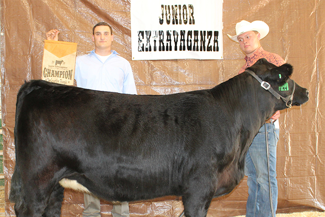 PICT Bryce Hill’s heifer named Overall Simmental Champion Female PICT Bryce Hill’s heifer named Overall Simmental Champion Female