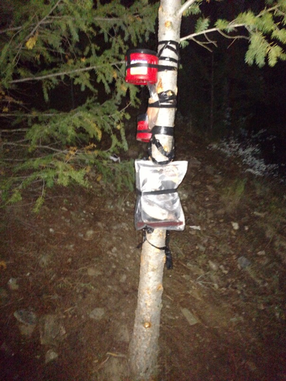 PICT Tree baited for bear poaching PICT Tree baited for bear poaching