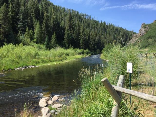 PICT Yampa River in mid-July - CPW