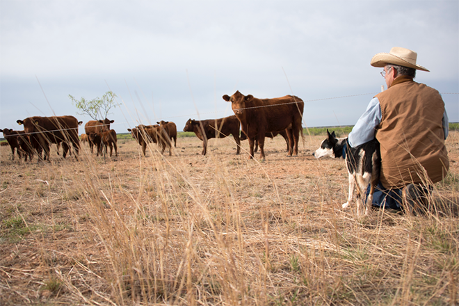 PICT Drought - Kregg McKenny. Courtesy NRCS PICT Drought - Kregg McKenny. Courtesy NRCS