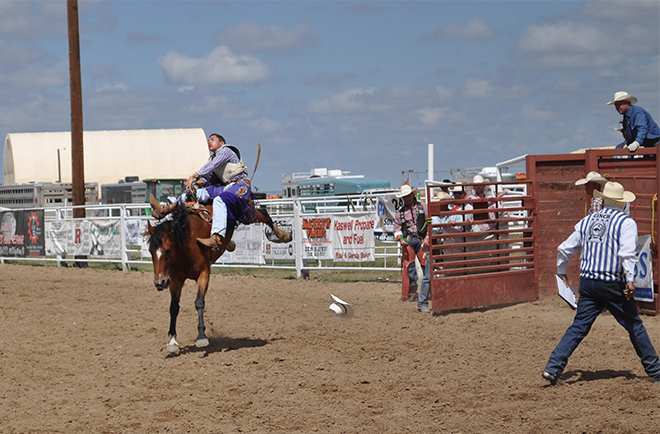 PICT 2018 Rodeo - Saddle Bronc - Roland Sorensen PICT 2018 Rodeo - Saddle Bronc - Roland Sorensen