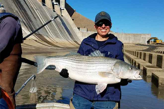 PICT Fish recovery at John Martin Reservoir - CPW