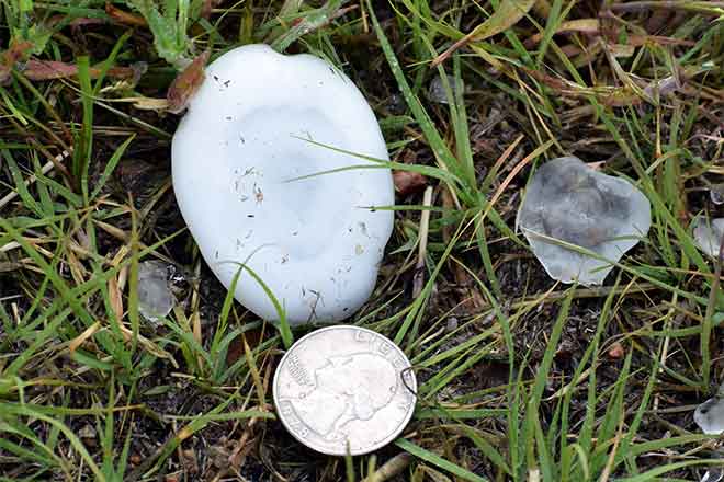 PICT 64J1 Hail stone near Eads May 26, 2019 - Chris Sorensen PICT Hail stone near Eads May 26, 2019 - Chris Sorensen