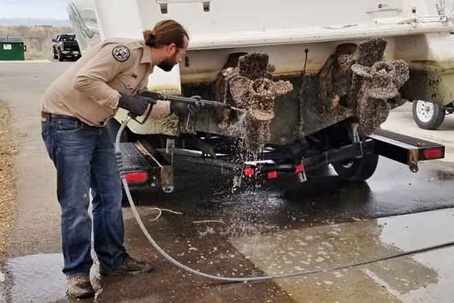PICT 64J1 Boat Inspection Cleaning Mussel - CPW PICT Boat Inspection Cleaning Mussel - CPW