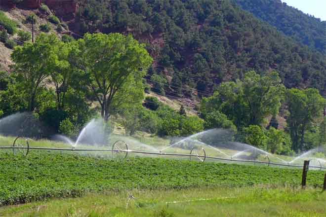 PICT 64J1 Lower Woody Creek irrigtation - Brent Gardner-Smith - Aspen Journalism PICT Lower Woody Creek irrigtation - Brent Gardner-Smith - Aspen Journalism