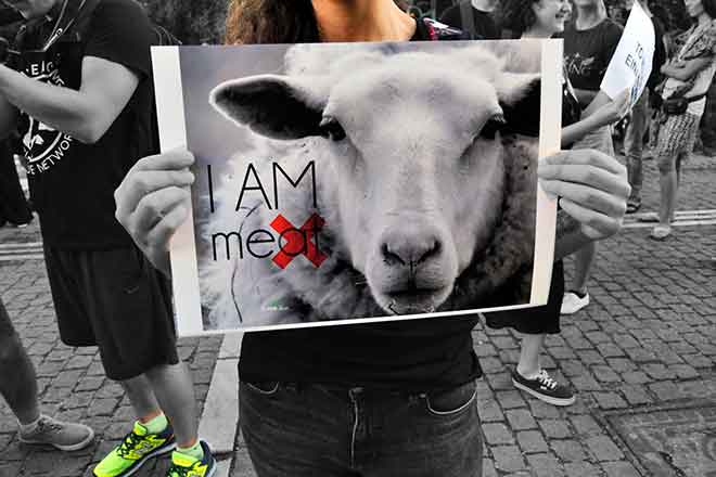 PICT 64J1 Earthtalk animal rights poster - FlickrCC - Elias Tsolis PICT 64J1 Earthtalk animal rights poster - FlickrCC - Elias Tsolis