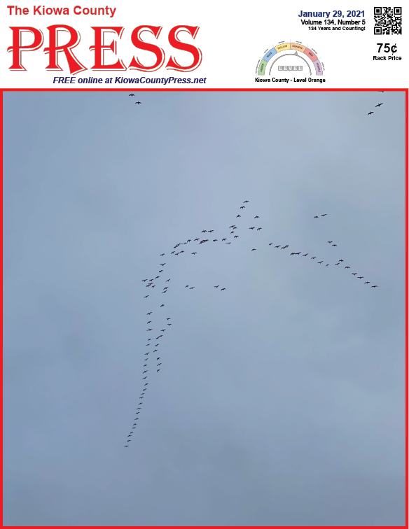 Photo of the Week - 2021-01-29 - Geese flying over Kiowa County, Colorado - Chris Sorensen
