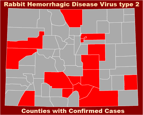 MAP Counties with confirmed cases of Rabbit Hemorrhagic Disease Virus type 2 MAP Counties with confirmed cases of Rabbit Hemorrhagic Disease Virus type 2
