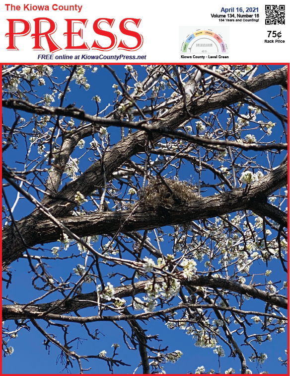 Photo of the Week - 2020-04-16 - Pear tree in bloom in Kiowa County, Colorado - Chris Sorensen