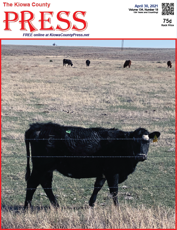 Photo of the Week - 2020-04-30 - Cattle in Kiowa County, Colorado - Chris Sorensen