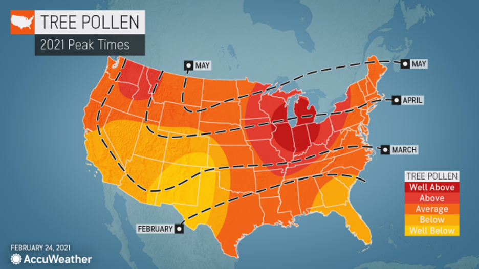 What Will Allergies Look Like Across The US This Spring? AccuWeather ...