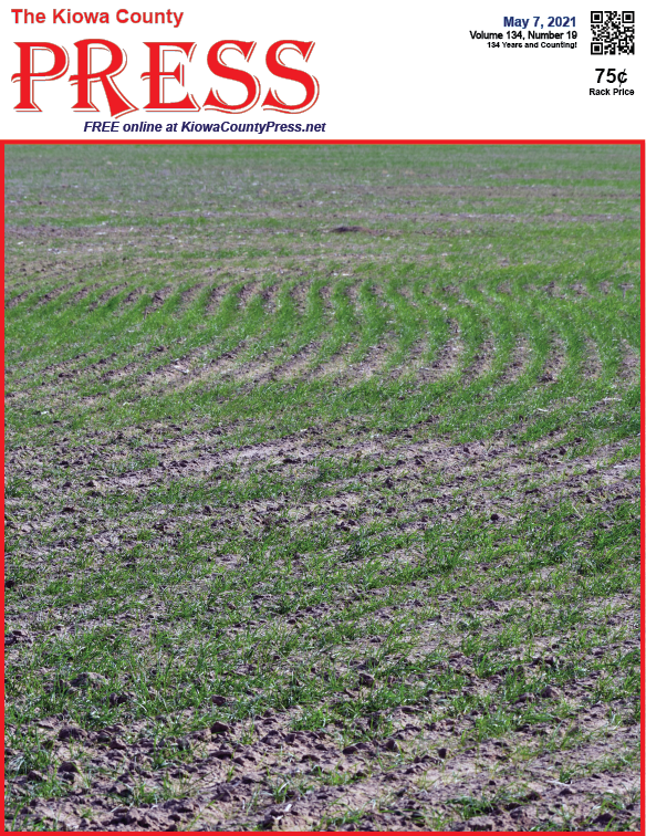 Photo of the Week - 2020-05-07 - Wheat growing in Kiowa County, Colorado - Chris Sorensen