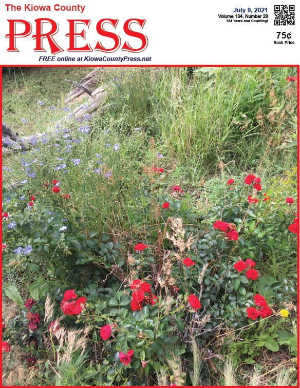 Photo of the Week - 2020-07-09 - Roses in bloom in Kiowa County, Colorado - Jeanne Sorensen