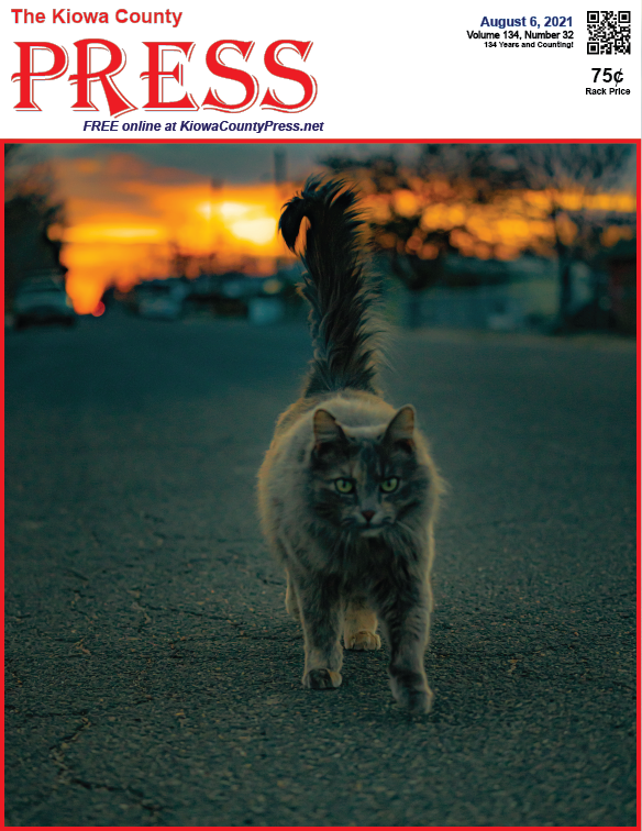 Photo of the Week - 2020-08-06 Cat roaming the streets of Eads in Kiowa County, Colorado - Damian Hernandez