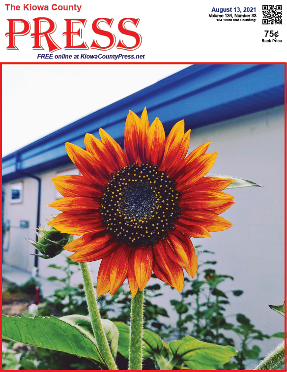 Photo of the Week - 2020-08-13 Sunflower in the garden at Prairie Pines Assisted Living Center in Eads, Kiowa County, Colorado - Sheri Mendez