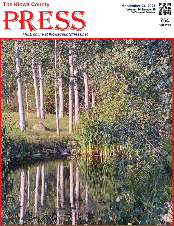 Photo of the Week - 2020-09-24 Aspen trees in Colorado's mountains - Chris Sorensen