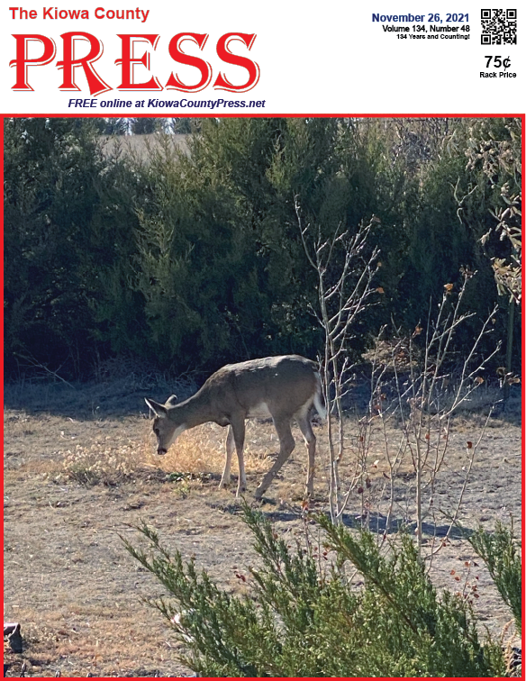 Photo of the Week - 2020-11-19 Young deer exploring in Kiowa County - Chris Sorensen