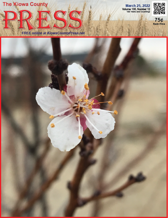 Photo of the Week - 2022-03-25 Fruit trees will soon begin to blossom in Kiowa County, Colorado - Chris Sorensen