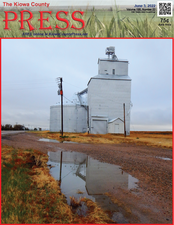 Photo of the Week - 2022-06-03 - Grain elevator at Brandon reflected in standing water from recent rains - Jeanne Sorensen