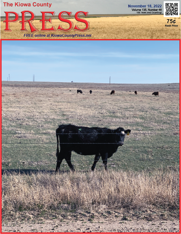 Photo of the Week - 2022-11-18 - Cattle in Kiowa County, Colorado - Chris Sorensen