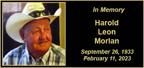MEMORY Harold Morlan