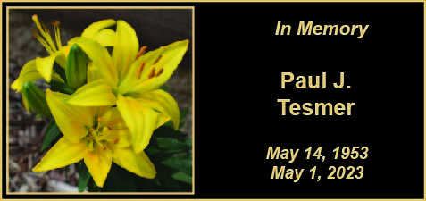 MEMORY Paul Tesmer