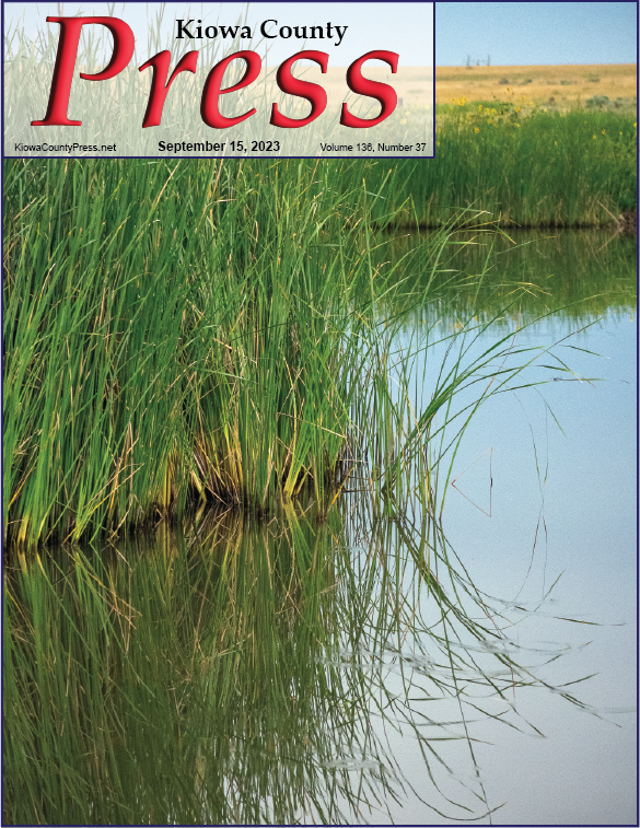 Photo of the Week - 2023-09-15 - Reeds on Jackson's Pond - Chris Sorensen