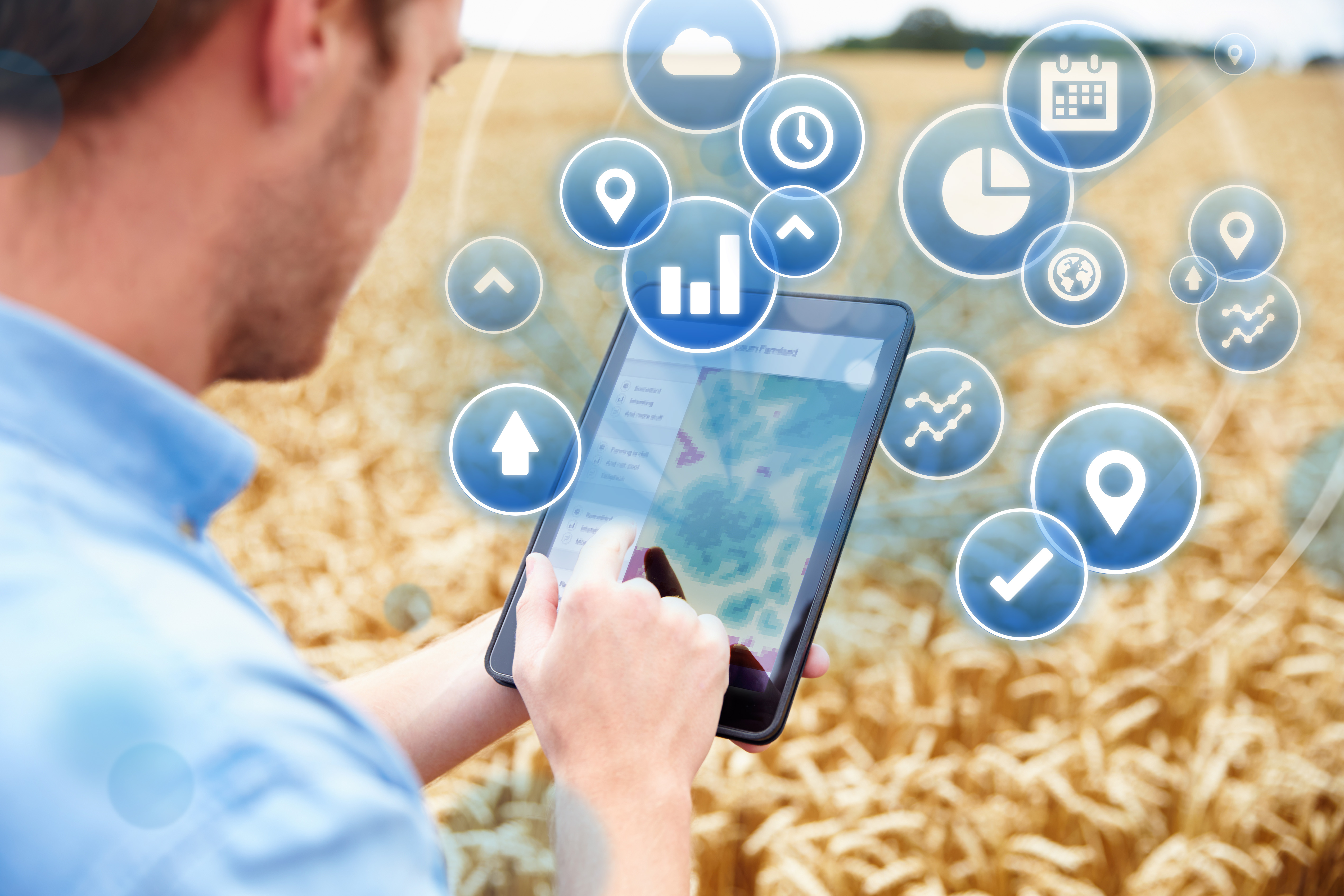 Person standing in a wheat field using a tablet device with agriculture icons imposed