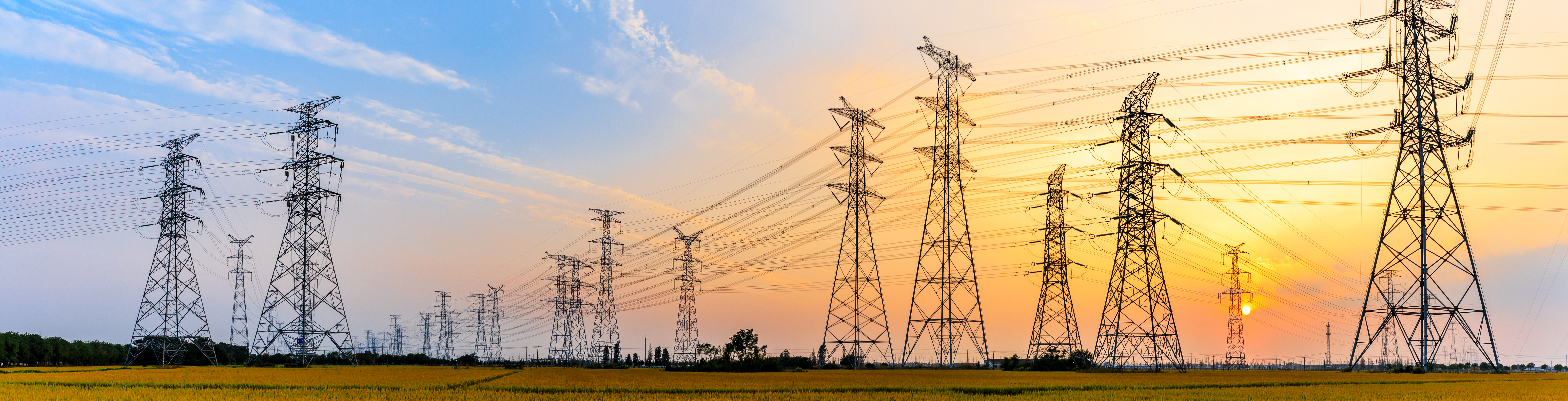 High voltage transmission towers stretching into the distance at sunrise/sunset