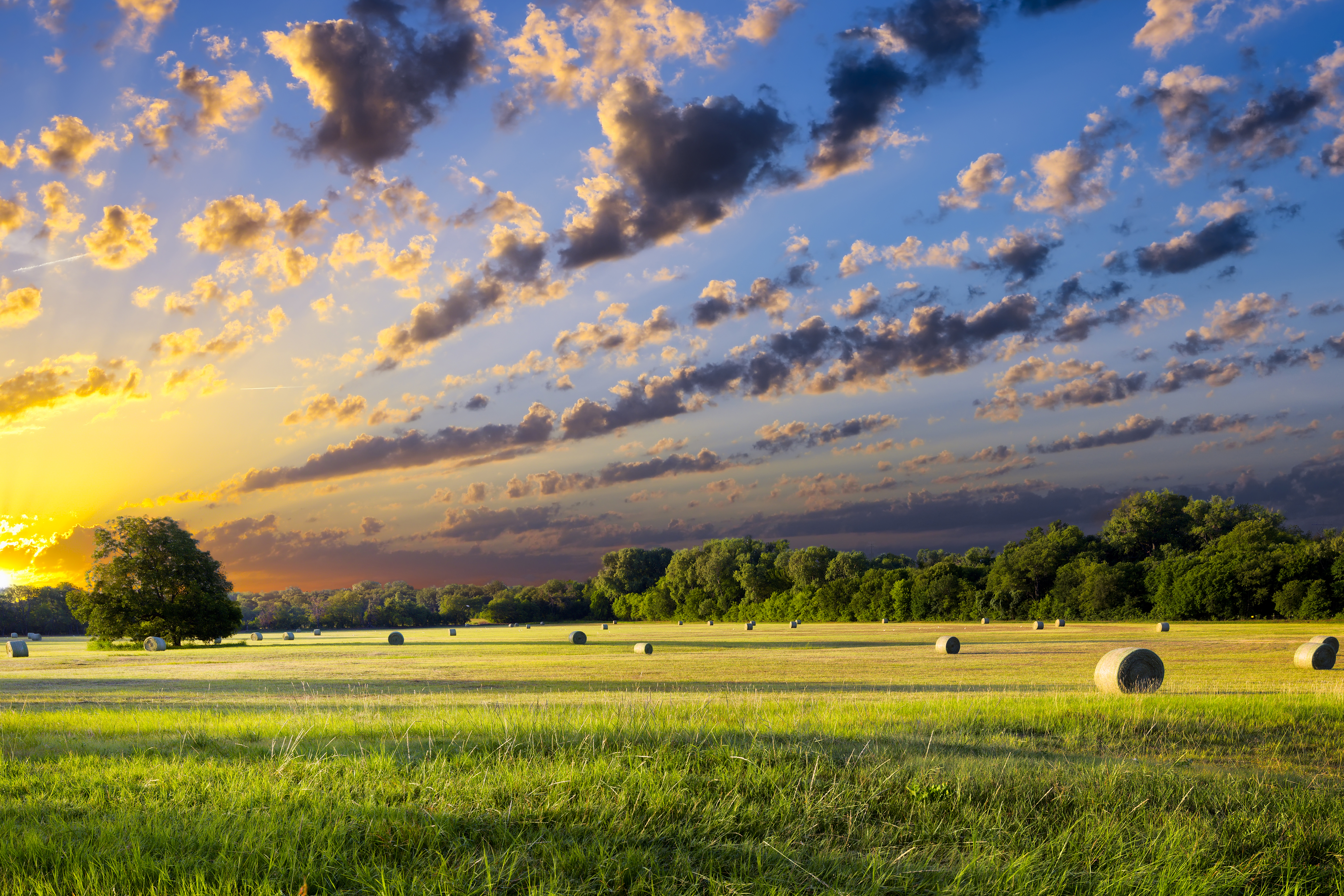 Wide angle shot of a farm field with round bales of hay at sunrise or sunset under a partly cloudy sky.