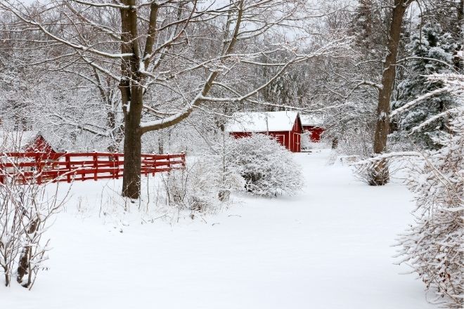 Tips for Surviving Winter on Your Hobby Farm