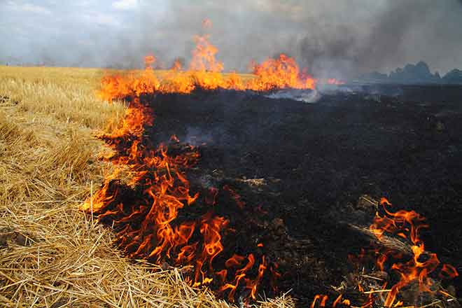 PROMO Fire - Wheat Stubble Soot Flames - iStock