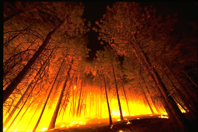 PROMO 660 x 440 Fire - Forest Fire - Wikimedia