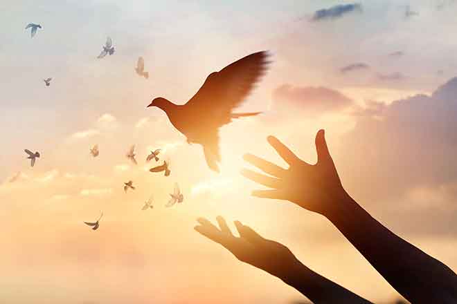 PROMO Faith - Dove Hands Sky Sun Silhouette - iStock - ipopba