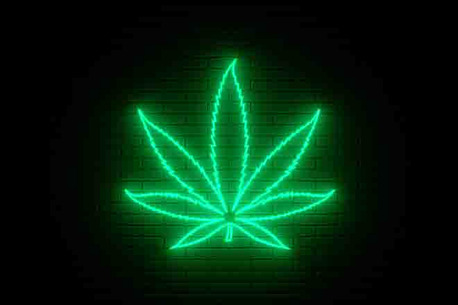 PROMO 64J1 Plant - Marijuana Leaf Neon Sign - iStock - Nikolay Evsyukov