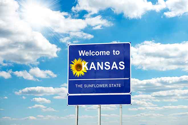 PROMO 64J1 States - Road SIgn Kansas Sunflower - iStock - Lady-Photo