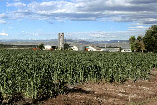 PROMO 660 x 440 Agriculture - Landscape Corn Field Farm Silo Larimer County - wikimedia - USDA ARS - public domain