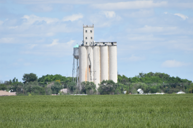 PROMO 660 x 440 Agriculture - Wheat Green Elevator Eads Kiowa County - Chris Sorensen