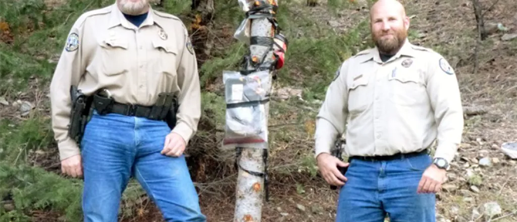 PICT CPW Officers with tree baited for bear poaching - CPW