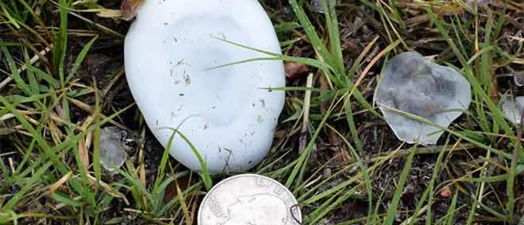 PICT Hail stone near Eads May 26, 2019 - Chris Sorensen