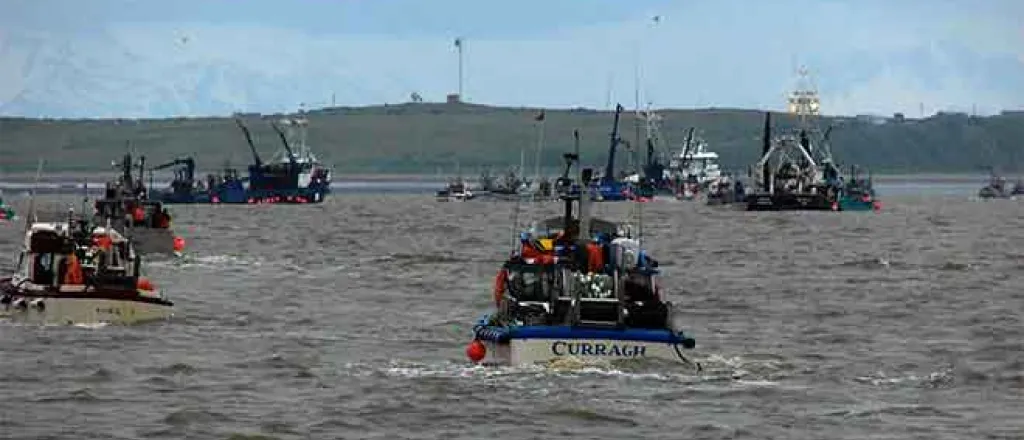 PICT Bristol Bay fishery in Alaska - Emma Forsberg, FlickrCC