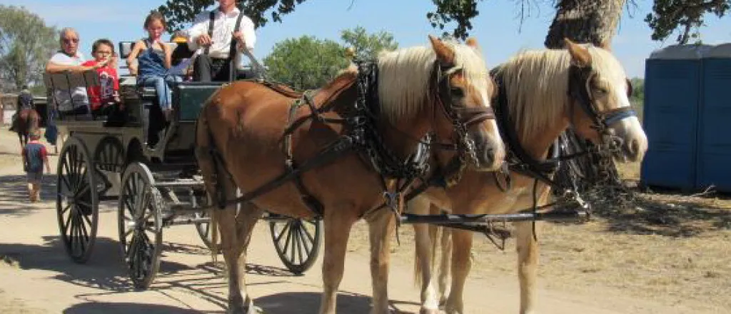 PICT Wagon Rides at Boggsville Days - Barbara Shively PICT Wagon Rides at Boggsville Days - Barbara Shively