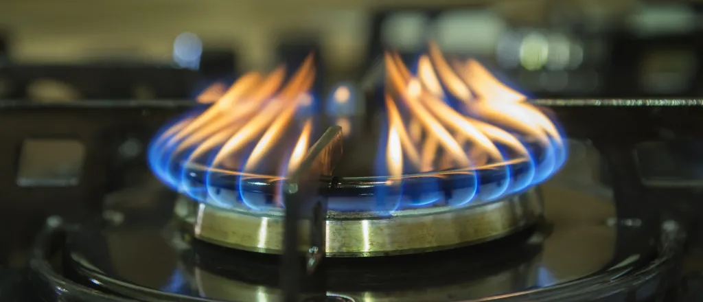 PROMO Energy - Natural Gas Flame Stove Burner - iStock - FotoCuisinette