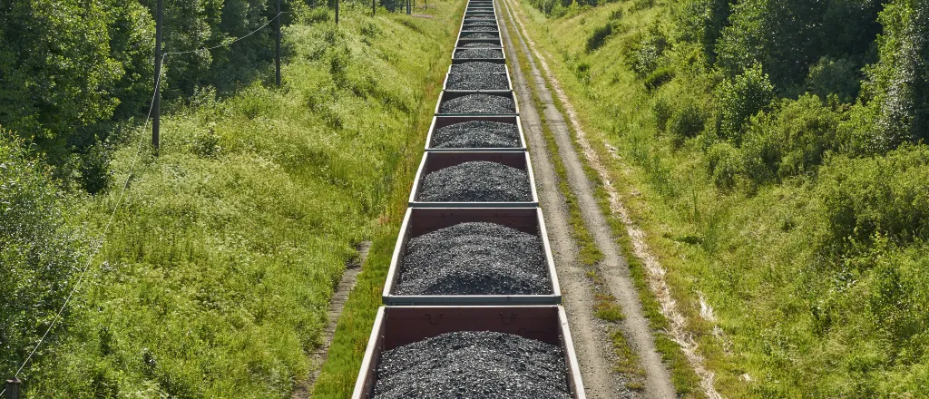 Train cars loaded with coal stretching into the distance with trees on both sides.