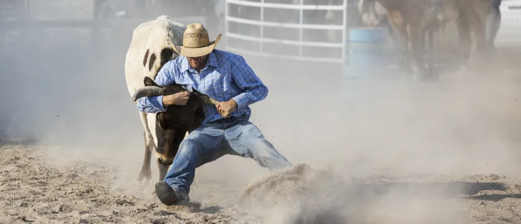 Cowboy wrestling a steer in an arena